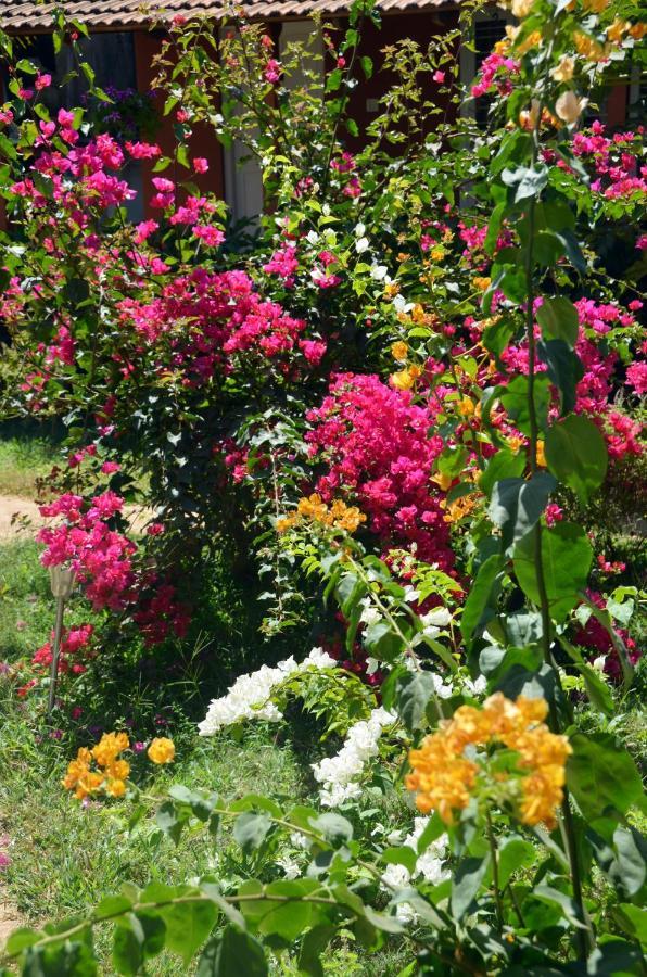 Arya Homestay Bougain Villa Gokarna  Εξωτερικό φωτογραφία